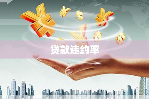 新埔贷款违约率