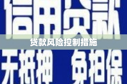 新埔贷款风险控制措施