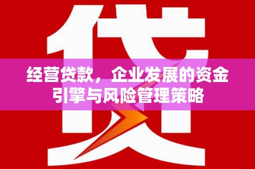 新埔经营贷款，企业发展的资金引擎与风险管理策略