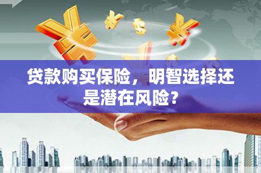 新埔贷款购买保险，明智选择还是潜在风险？