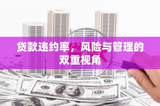 新埔贷款违约率，风险与管理的双重视角