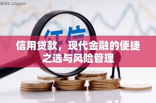 新埔信用贷款，现代金融的便捷之选与风险管理