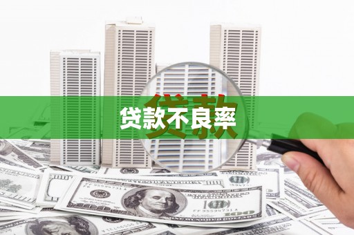 新埔贷款不良率