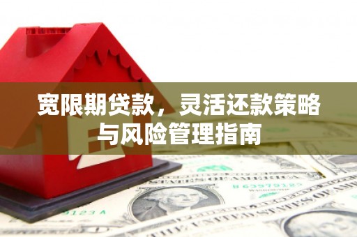 新埔宽限期贷款，灵活还款策略与风险管理指南