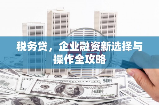 新埔税务贷，企业融资新选择与操作全攻略