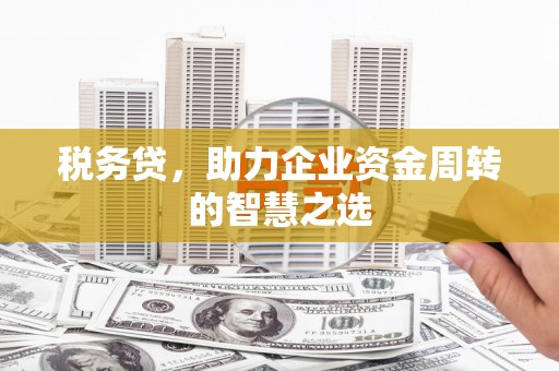 新埔税务贷，助力企业资金周转的智慧之选