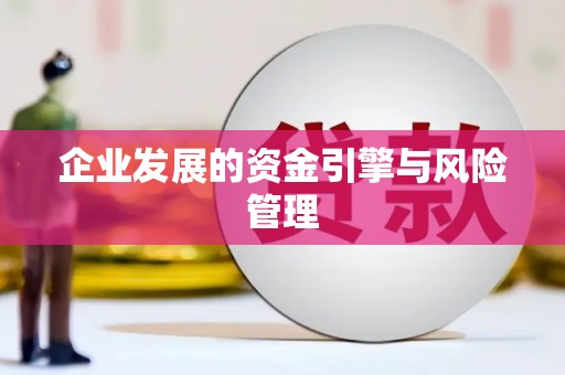 新埔企业发展的资金引擎与风险管理