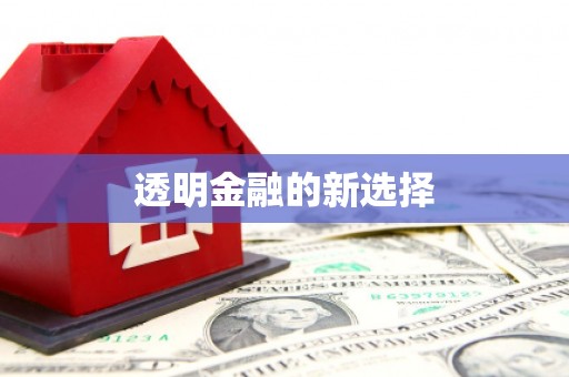 新埔透明金融的新选择