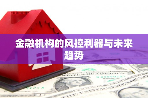 新埔金融机构的风控利器与未来趋势