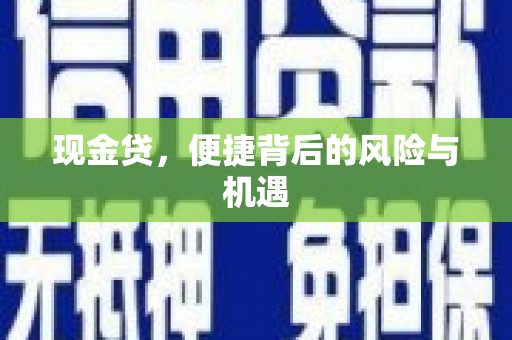 新埔现金贷，便捷背后的风险与机遇