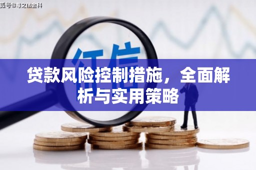 新埔贷款风险控制措施，全面解析与实用策略