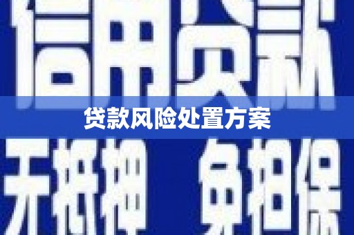 新埔贷款风险处置方案