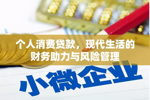 新埔个人消费贷款，现代生活的财务助力与风险管理