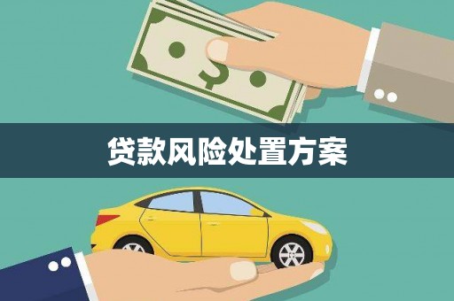 新埔贷款风险处置方案