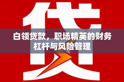 新埔白领贷款，职场精英的财务杠杆与风险管理
