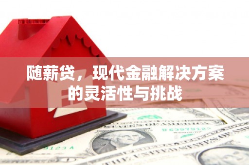 新埔随薪贷，现代金融解决方案的灵活性与挑战