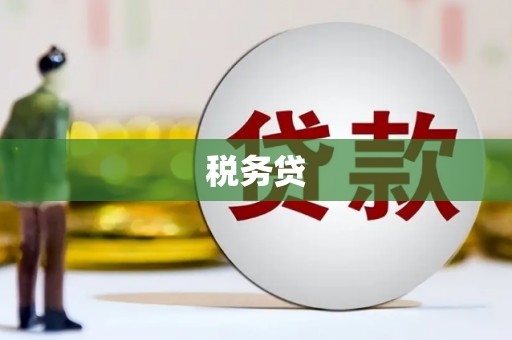 新埔税务贷