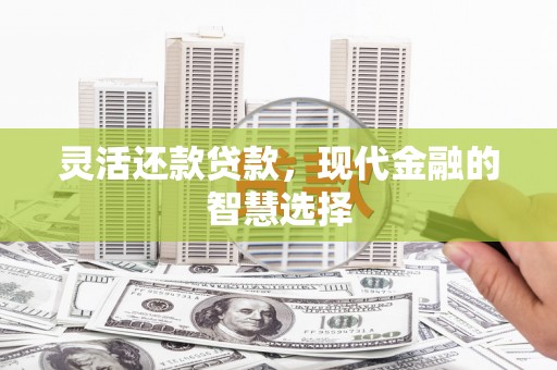 新埔灵活还款贷款，现代金融的智慧选择