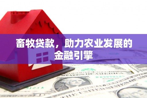 新埔畜牧贷款，助力农业发展的金融引擎