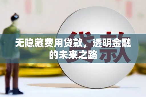 新埔无隐藏费用贷款，透明金融的未来之路
