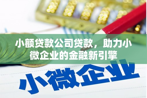 新埔小额贷款公司贷款，助力小微企业的金融新引擎