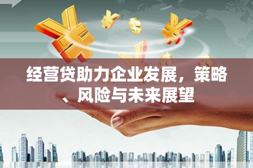 新埔经营贷助力企业发展，策略、风险与未来展望
