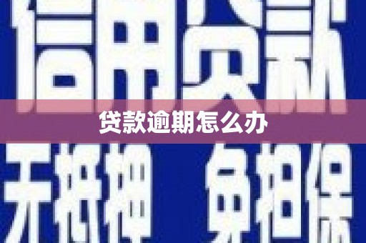 新埔贷款逾期怎么办