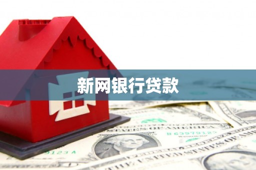 新埔新网银行贷款