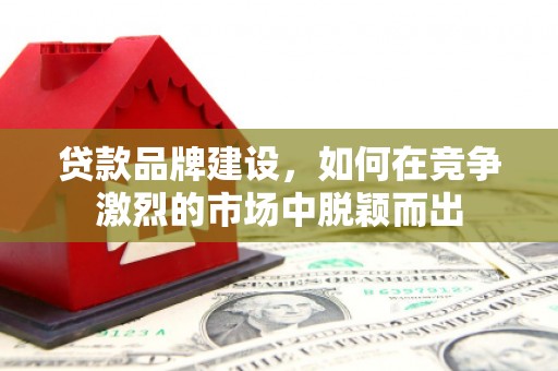 新埔贷款品牌建设，如何在竞争激烈的市场中脱颖而出