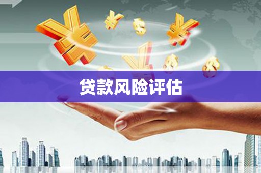 新埔贷款风险评估