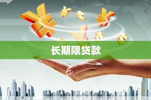 新埔长期限贷款