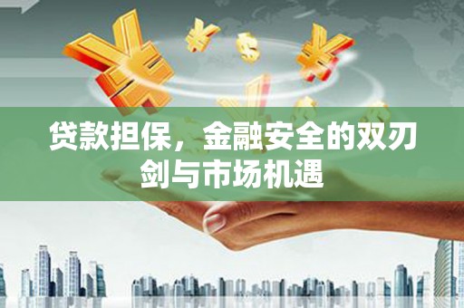 新埔贷款担保，金融安全的双刃剑与市场机遇