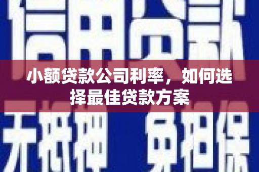 新埔小额贷款公司利率，如何选择最佳贷款方案