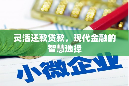 新埔灵活还款贷款，现代金融的智慧选择