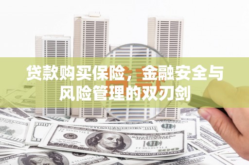 新埔贷款购买保险，金融安全与风险管理的双刃剑