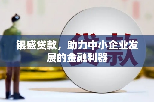 新埔银盛贷款，助力中小企业发展的金融利器