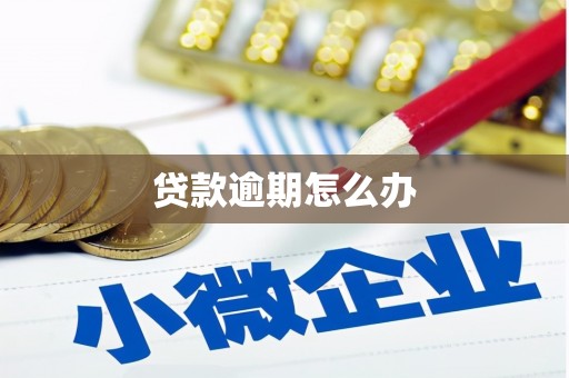 新埔贷款逾期怎么办