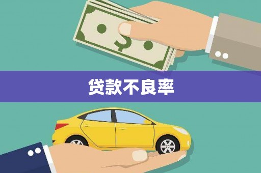 新埔贷款不良率