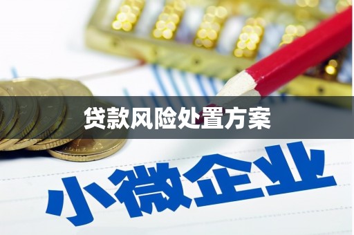 新埔贷款风险处置方案
