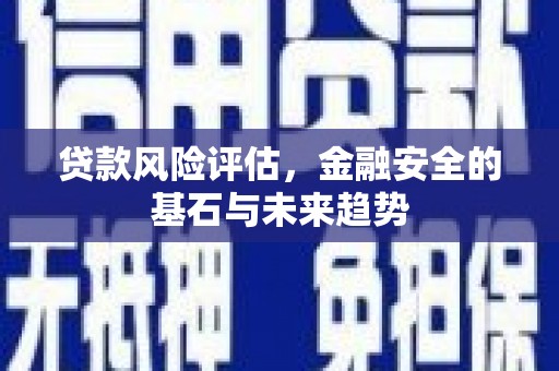 新埔贷款风险评估，金融安全的基石与未来趋势