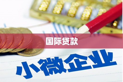 新埔国际贷款