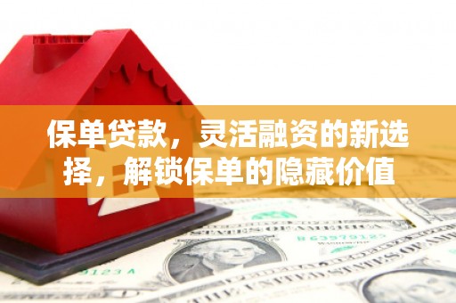 新埔保单贷款，灵活融资的新选择，解锁保单的隐藏价值