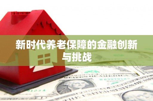 新埔新时代养老保障的金融创新与挑战