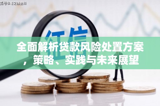 新埔全面解析贷款风险处置方案，策略、实践与未来展望
