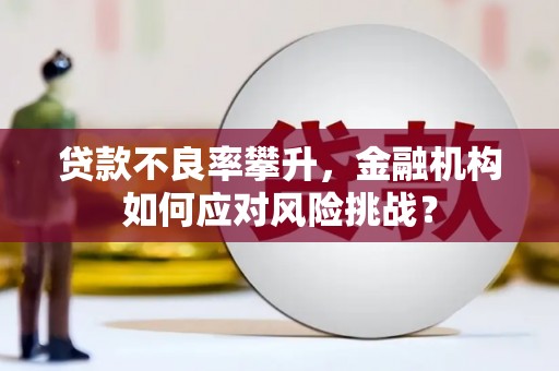 新埔贷款不良率攀升，金融机构如何应对风险挑战？