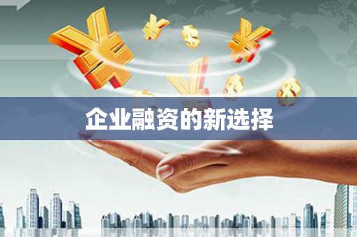 新埔企业融资的新选择