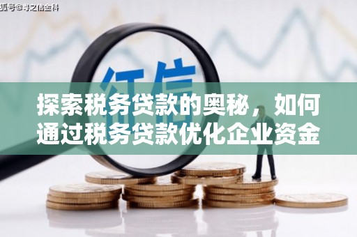 新埔探索税务贷款的奥秘，如何通过税务贷款优化企业资金流