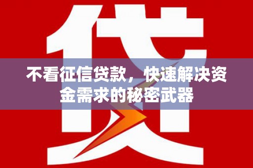 新埔不看征信贷款，快速解决资金需求的秘密武器