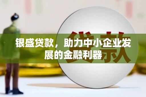 新埔银盛贷款，助力中小企业发展的金融利器