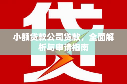 新埔小额贷款公司贷款，全面解析与申请指南
